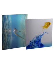 Load image into Gallery viewer, Glossy Aluminum Photo Panels
