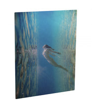 Load image into Gallery viewer, Glossy Aluminum Photo Panels
